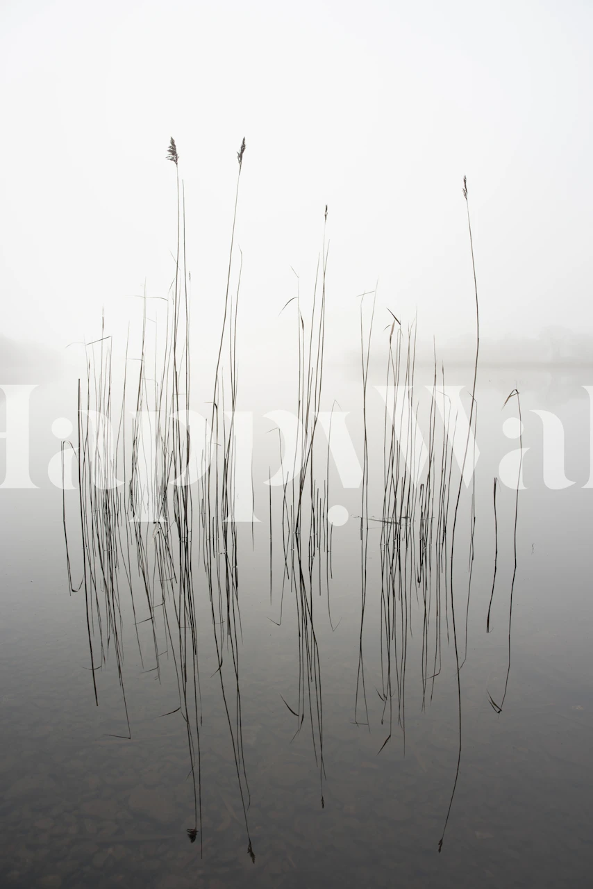 Foggy minimalism with tall reeds in water wallpaper