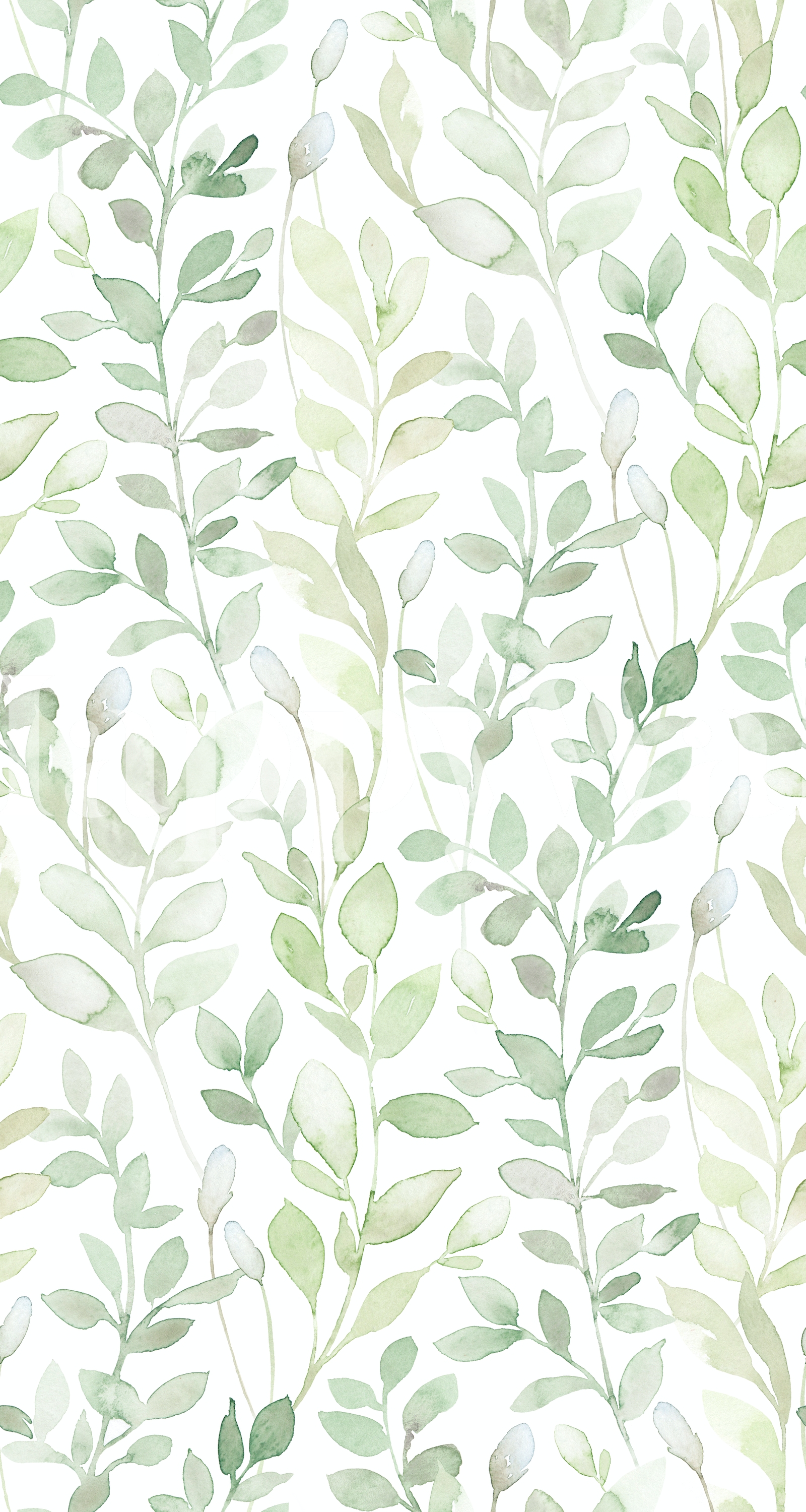 light green leaves wallpaper