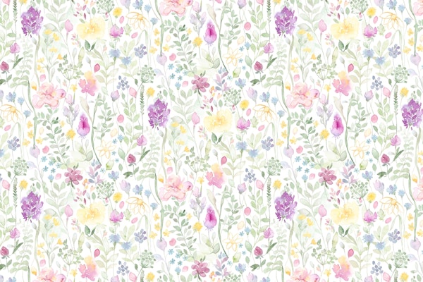 Midsummer watercolor wild flowers