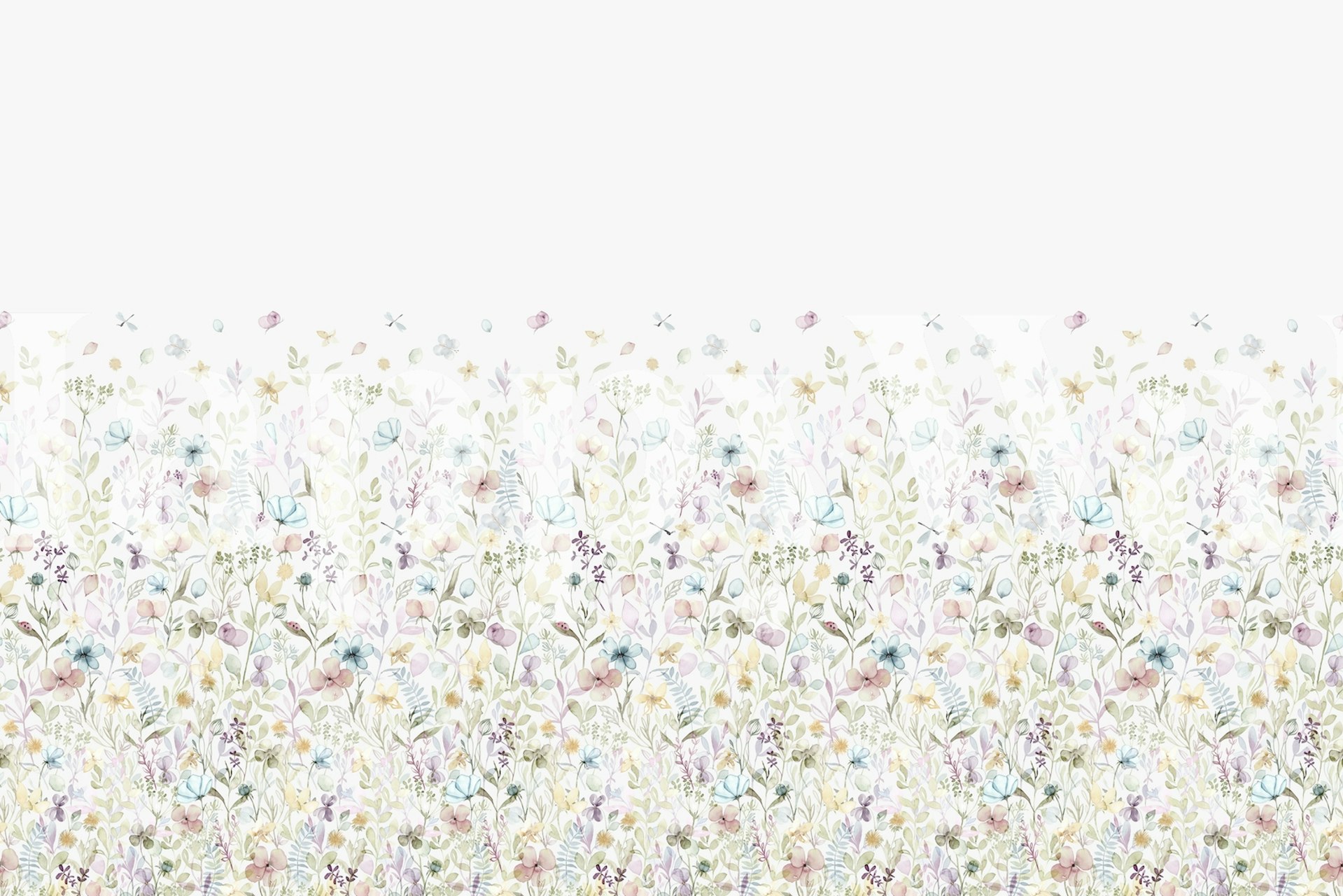 Spring floral meadow ombre border carta da parati in una stanza