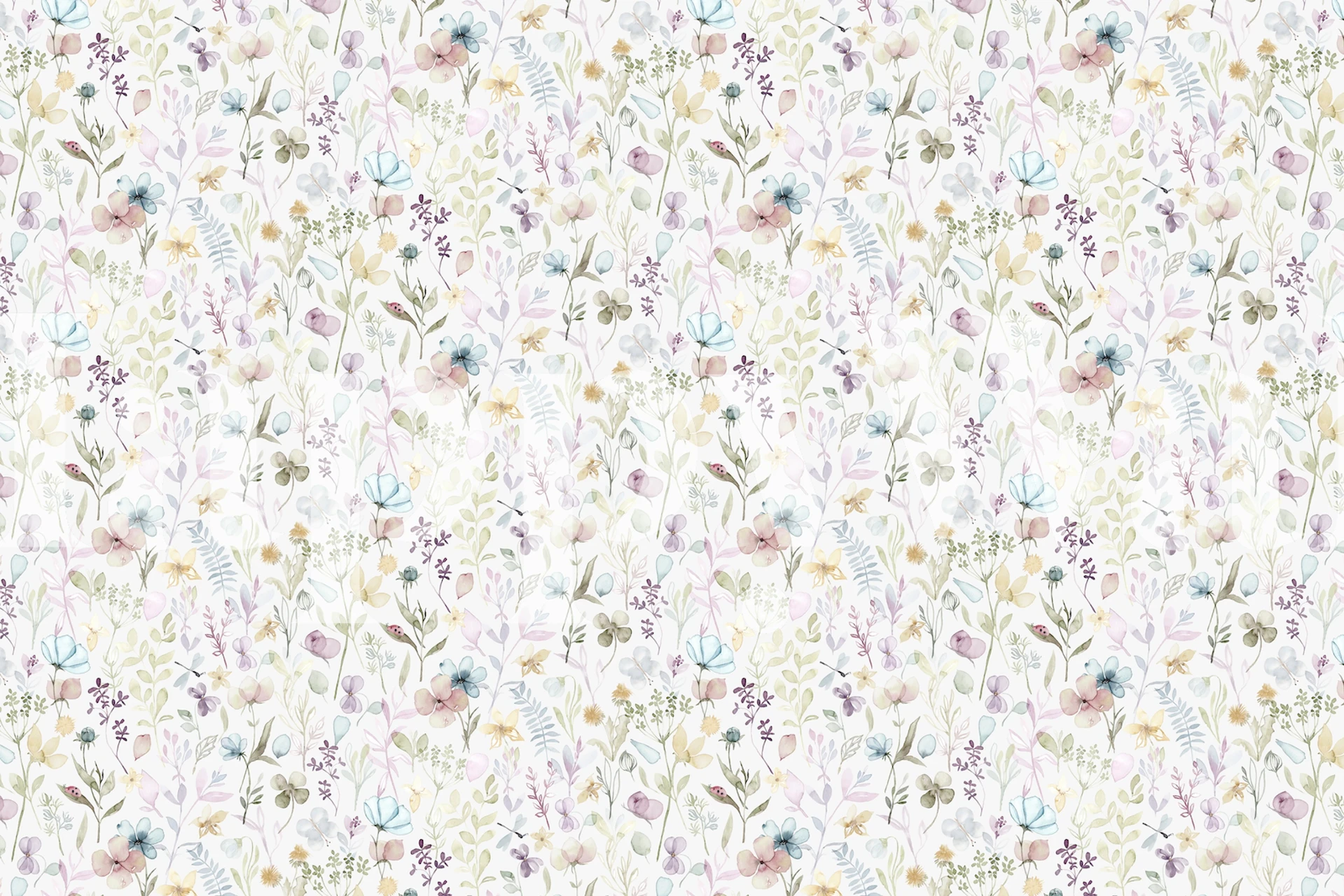 Mural de parede Spring Floral Meadow com um padrão leve e delicado de flores silvestres