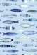 Watercolor Fish Blue Summer Vibe