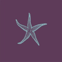 Dark purple aqua sea star ταπετσαρία