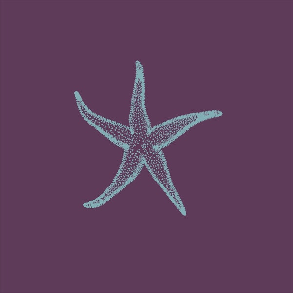 Dark purple aqua sea star