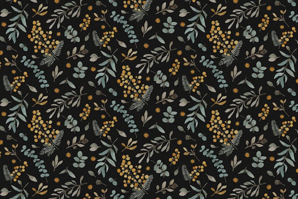 Australian native wattle eucalyptus black