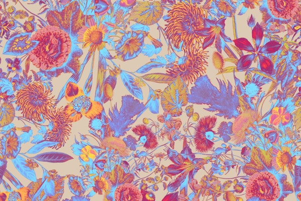 Multicolor Floral Pattern II