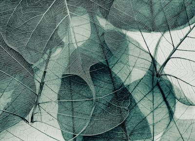 Τοιχογραφία