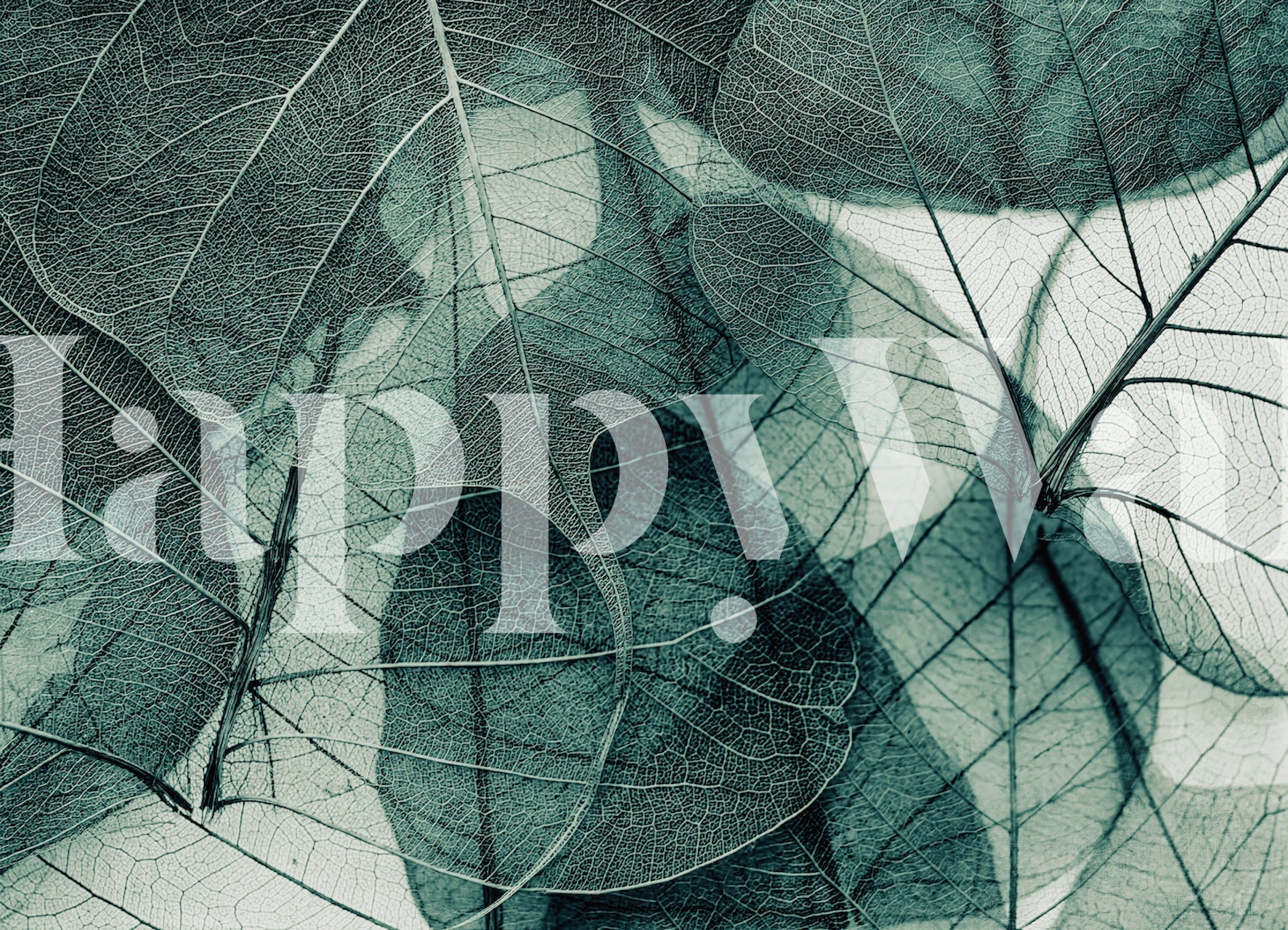 Abstract green leaves pattern wallpaper in translucent layers