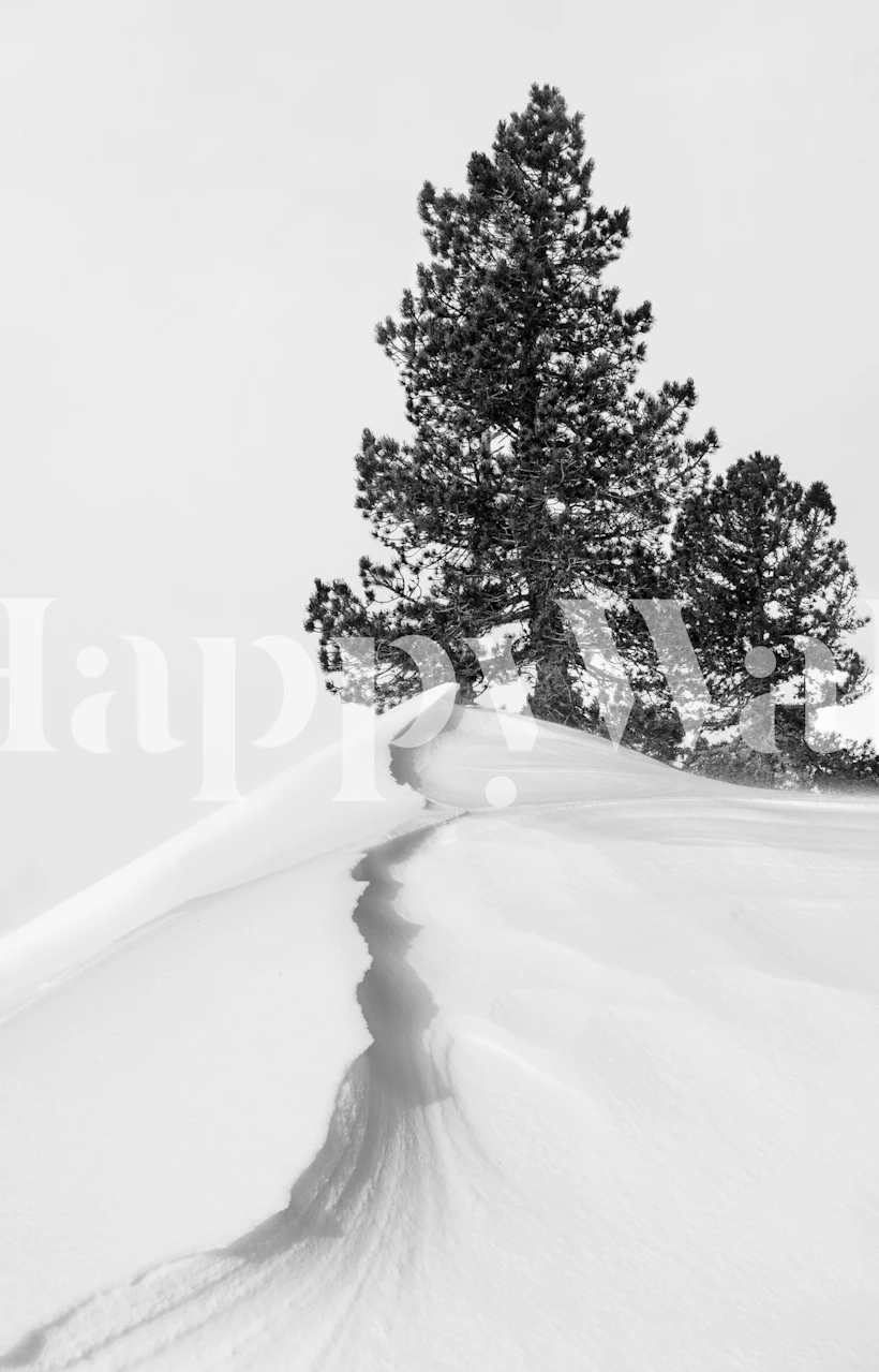 Black and white snowy landscape with two pine trees wallpaper