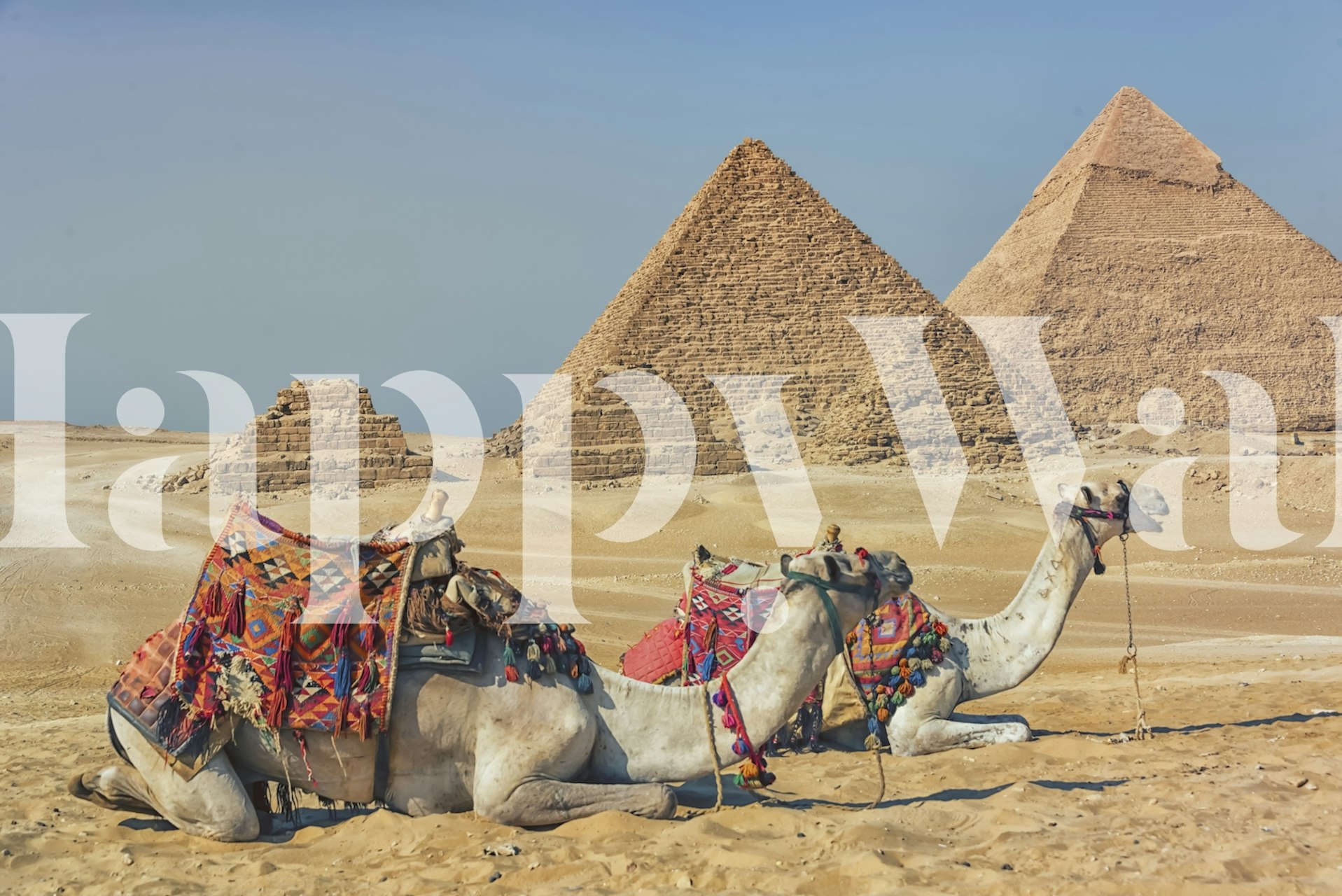 Tapettiluonnos The Pyramids of Giza