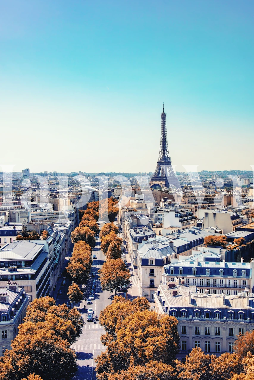 Eiffel Tower view with autumn trees and cityscape wallpaper