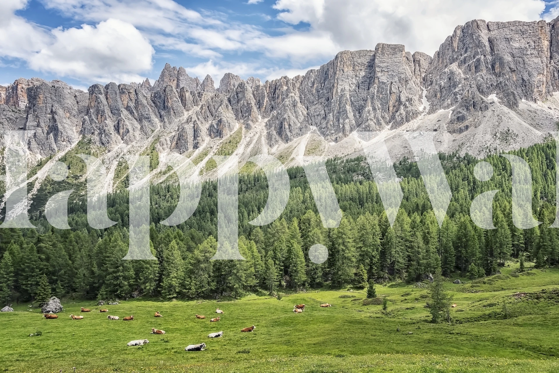 Mountain landscape with green trees and blue sky wallpaper