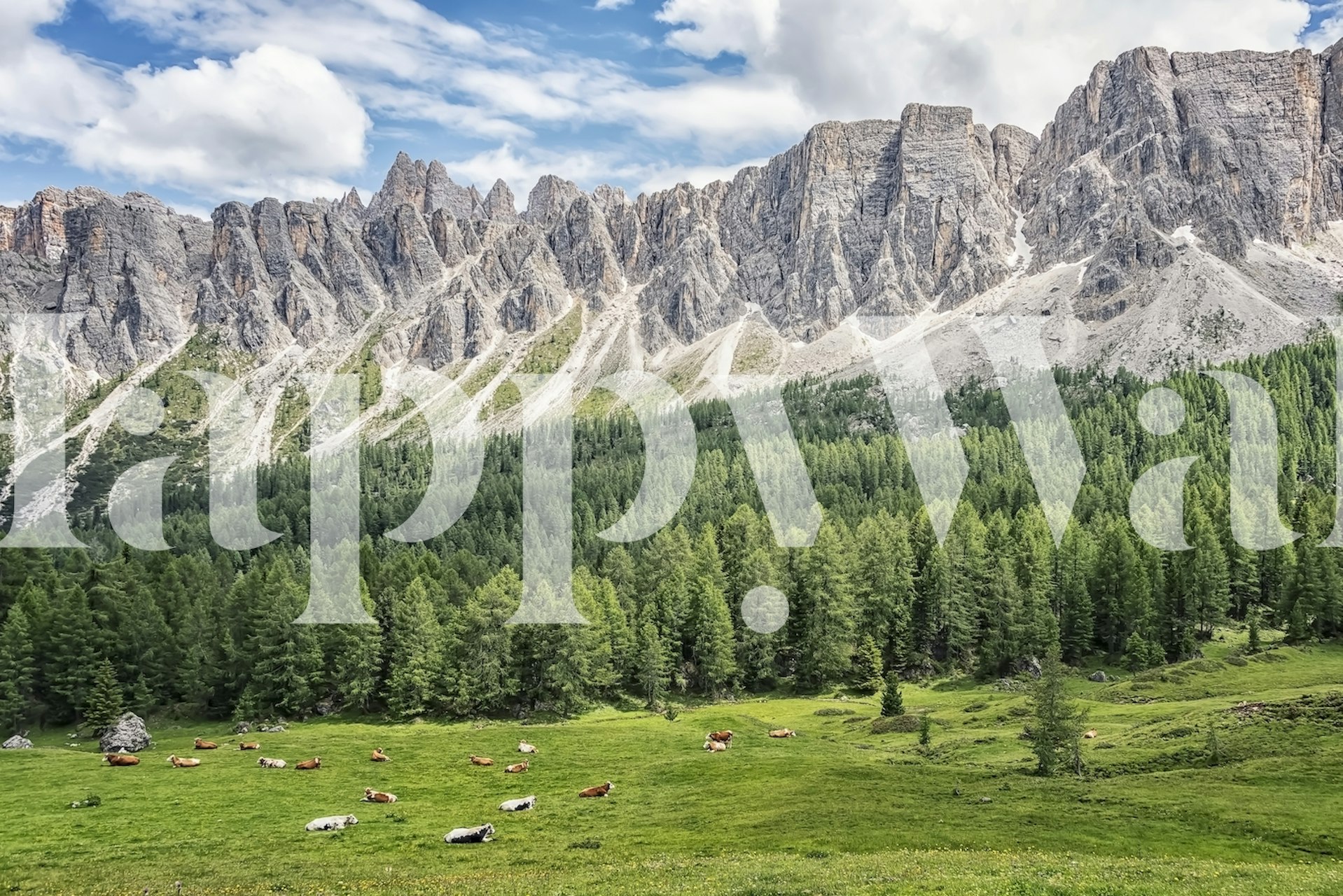 Mountain landscape with green trees and blue sky wallpaper