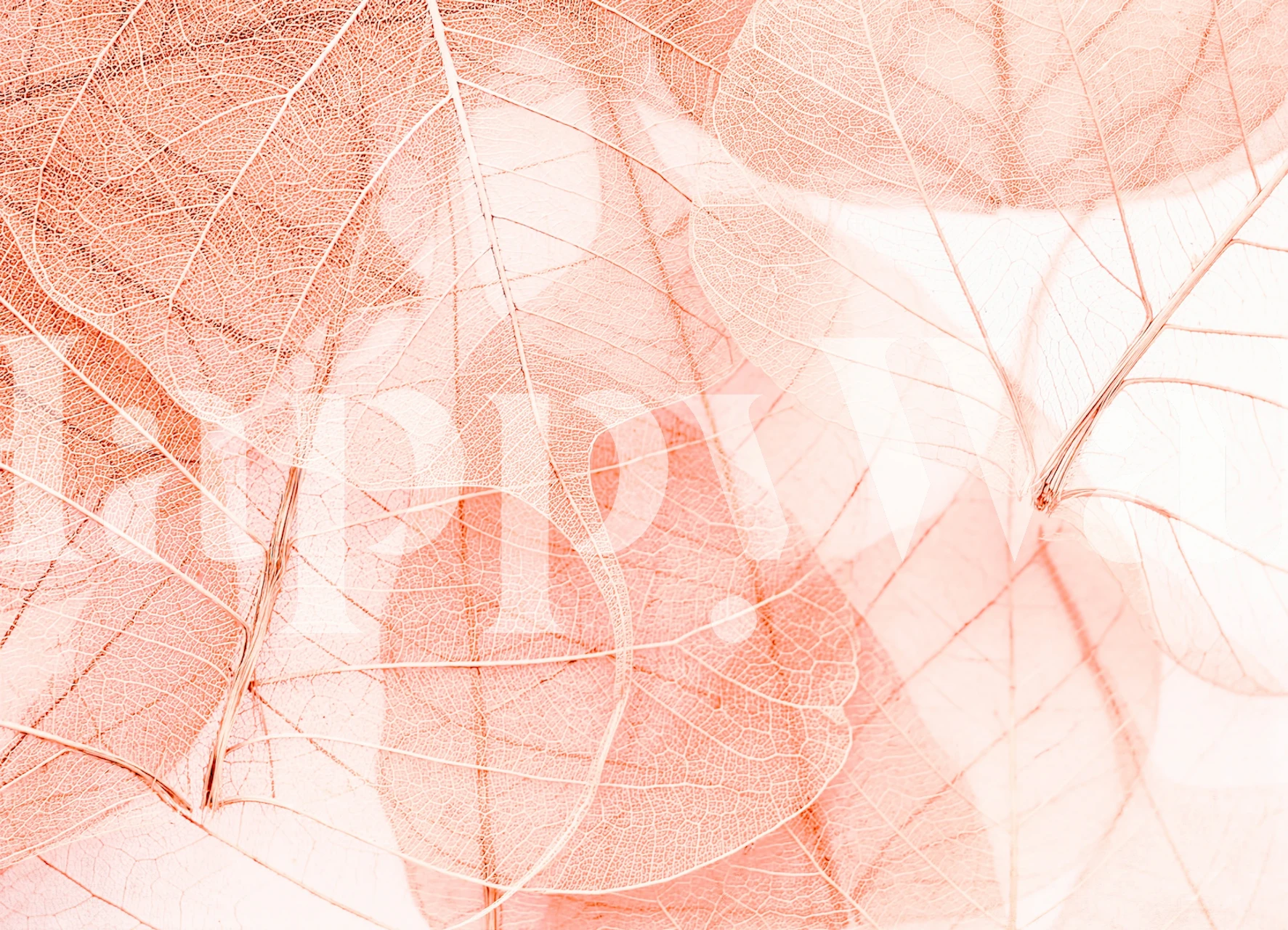 Pastel pink leaves wallpaper in soft tones with delicate patterns