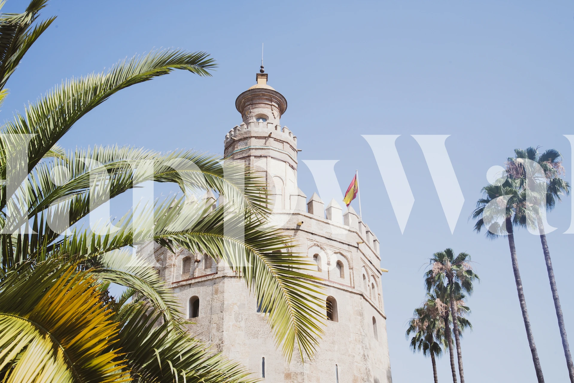 Fototapeta z wieżą Torre del Oro i palmami w Sewilli