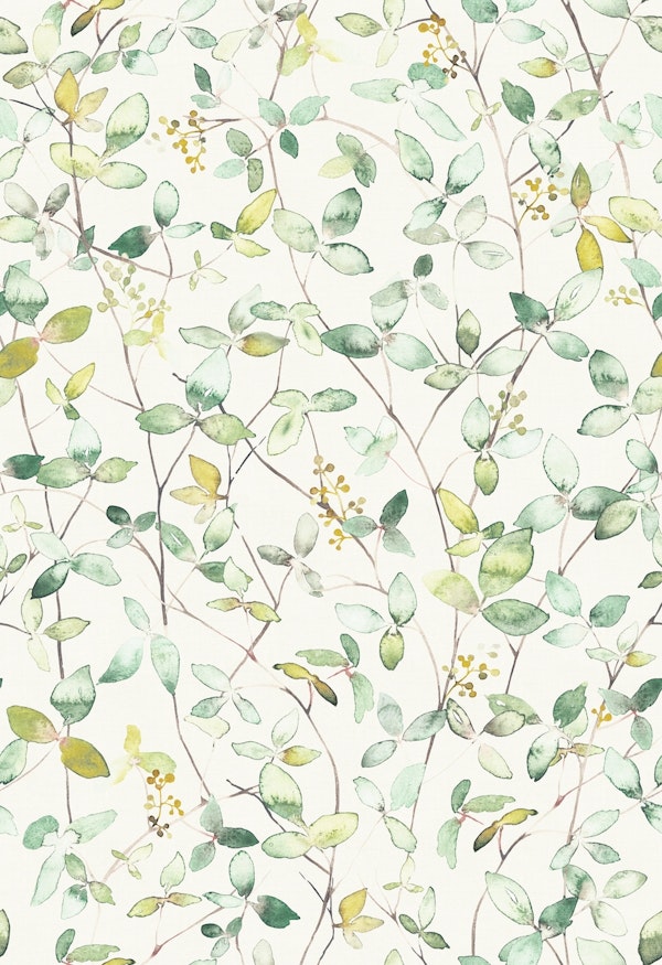 Ivy - watercolor leaves light