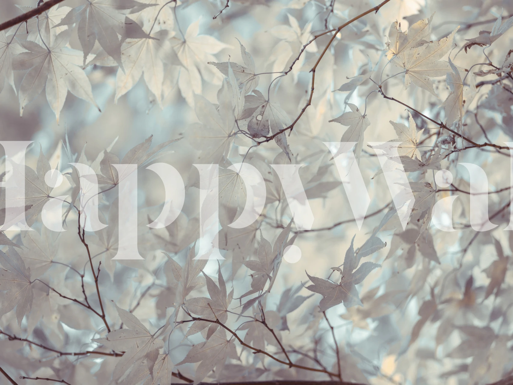 Zidna slika s temom tople jeseni sa zlatnim lišćem i zamršenim granama