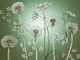 Meadow Flower
