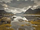 Norwegian Fjord