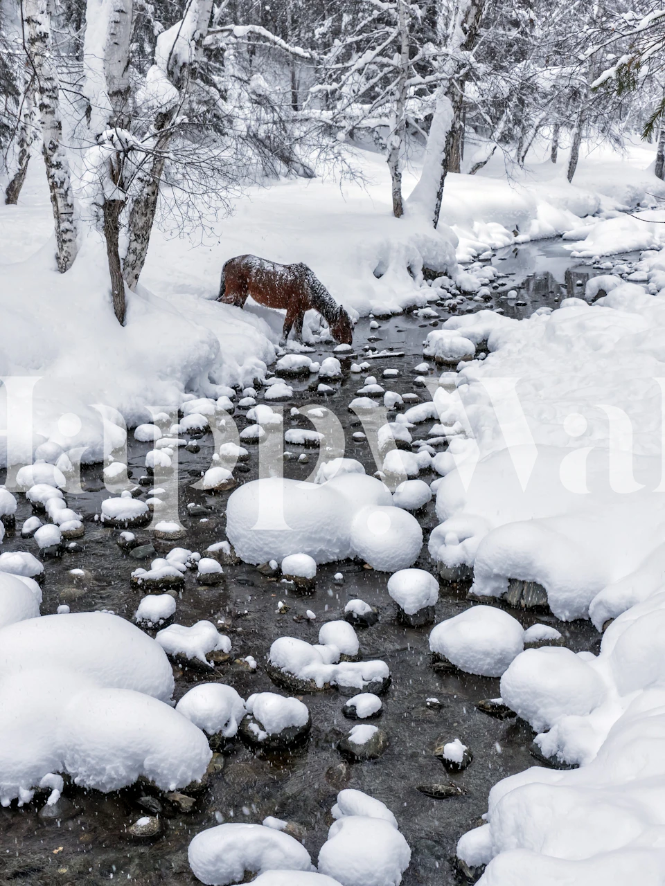 Winter landscape with a brown horse drinking from a stream, snowy trees and river wallpaper.
