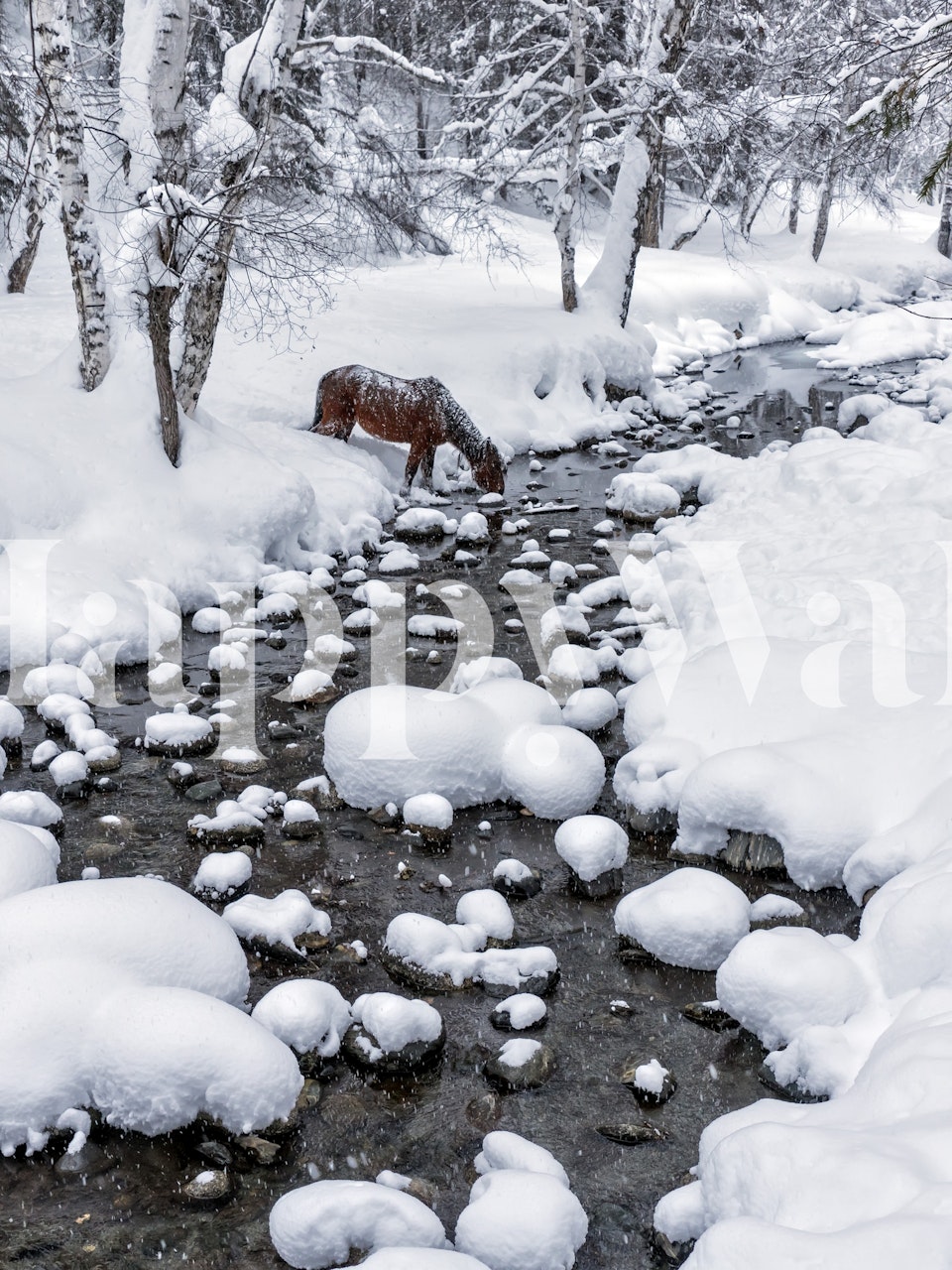Winter landscape with a brown horse drinking from a stream, snowy trees and river wallpaper.