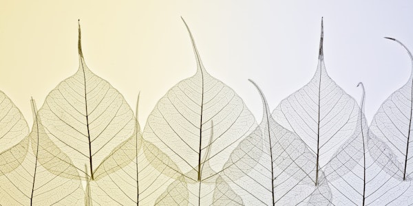 Nature's Veins Unveiled