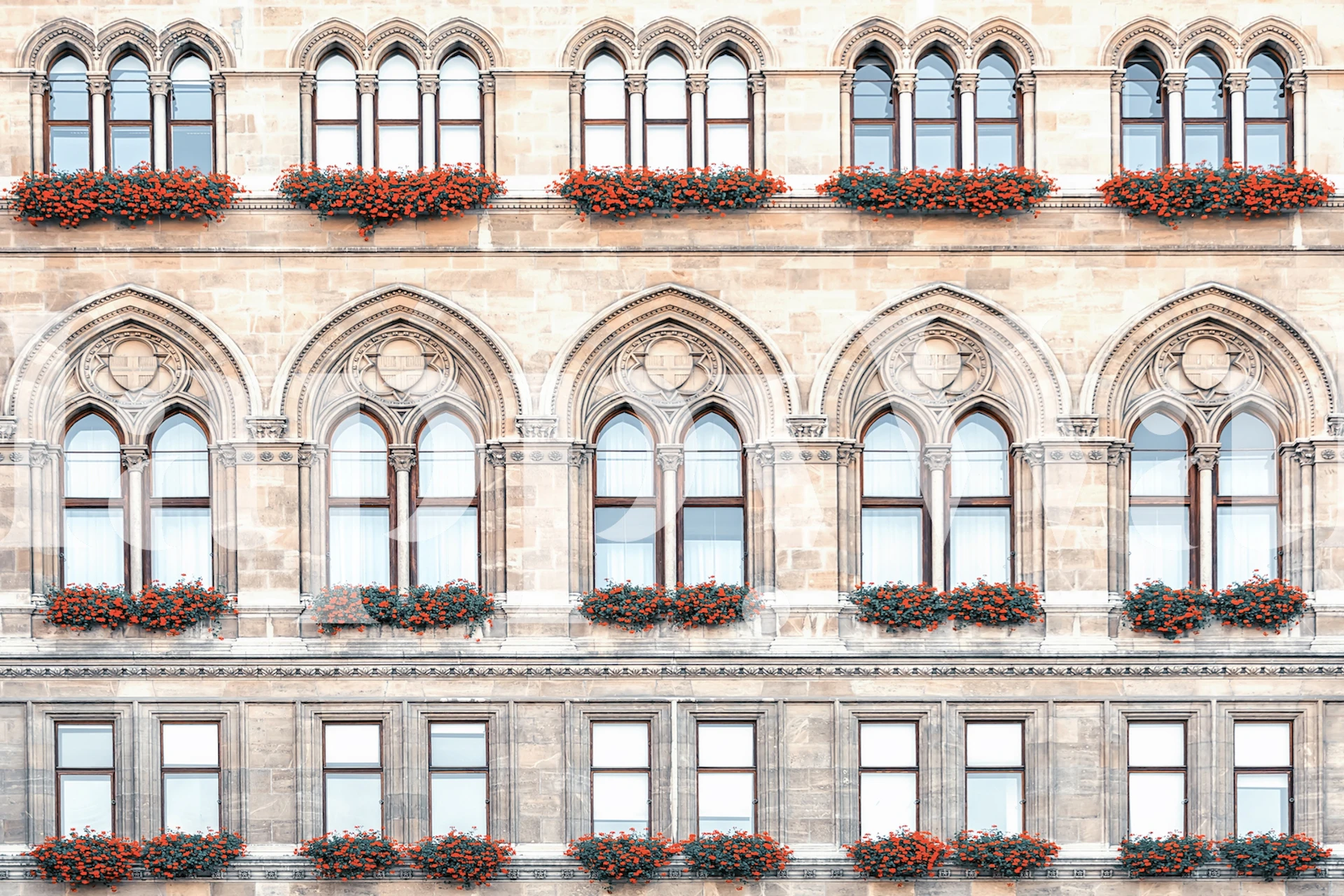 Classical building facade wall mural with arched windows and flower boxes