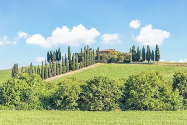 Tuscany Landscape