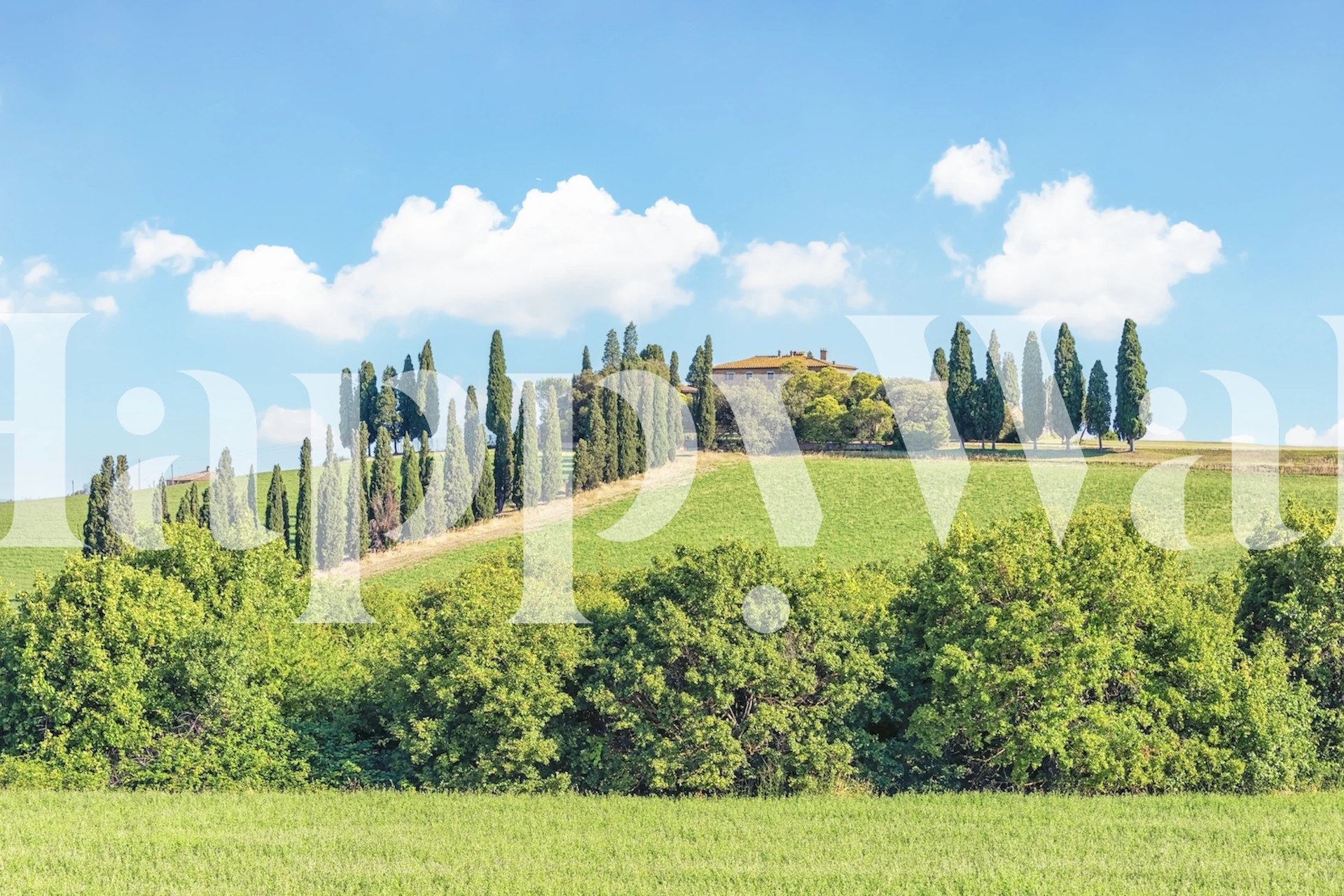Papier peint paysage de Toscane avec des collines et des cyprès