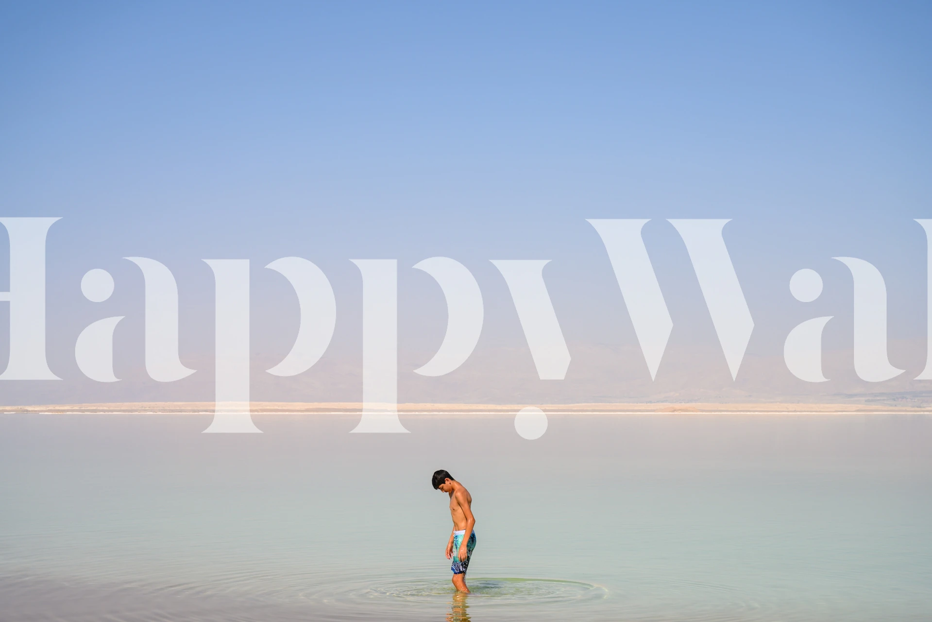 Tapet med utsikt över The Dead Sea