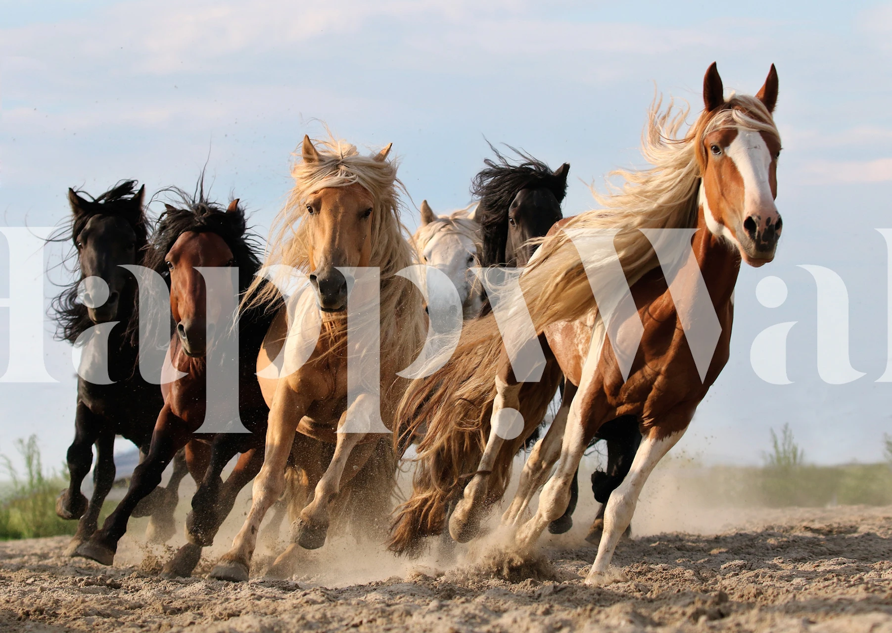 Design de papier peint de chevaux au galop