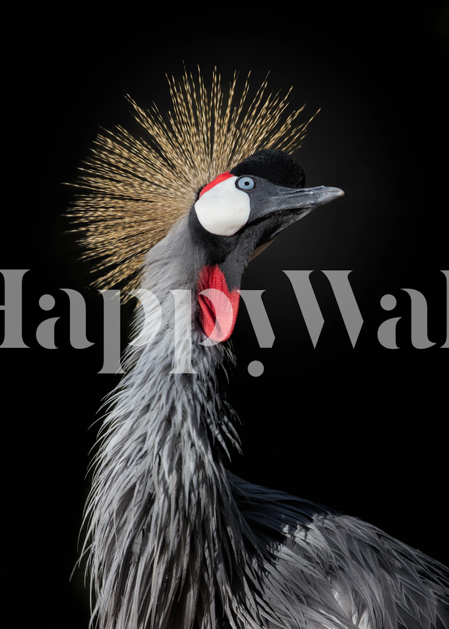 Crane bird with golden crown against a black background wallpaper