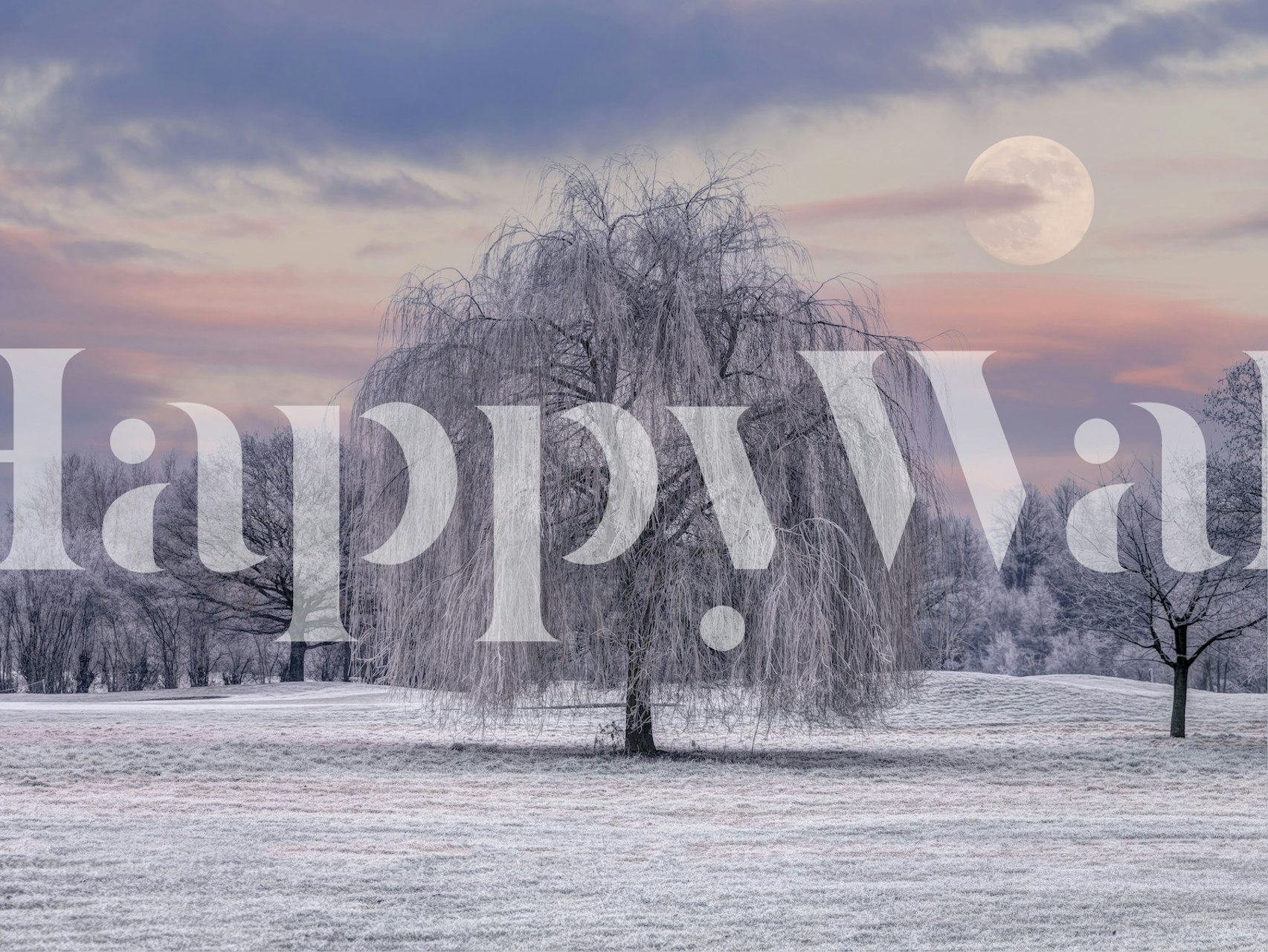 Frosted Tree Covered in Frost i en stue
