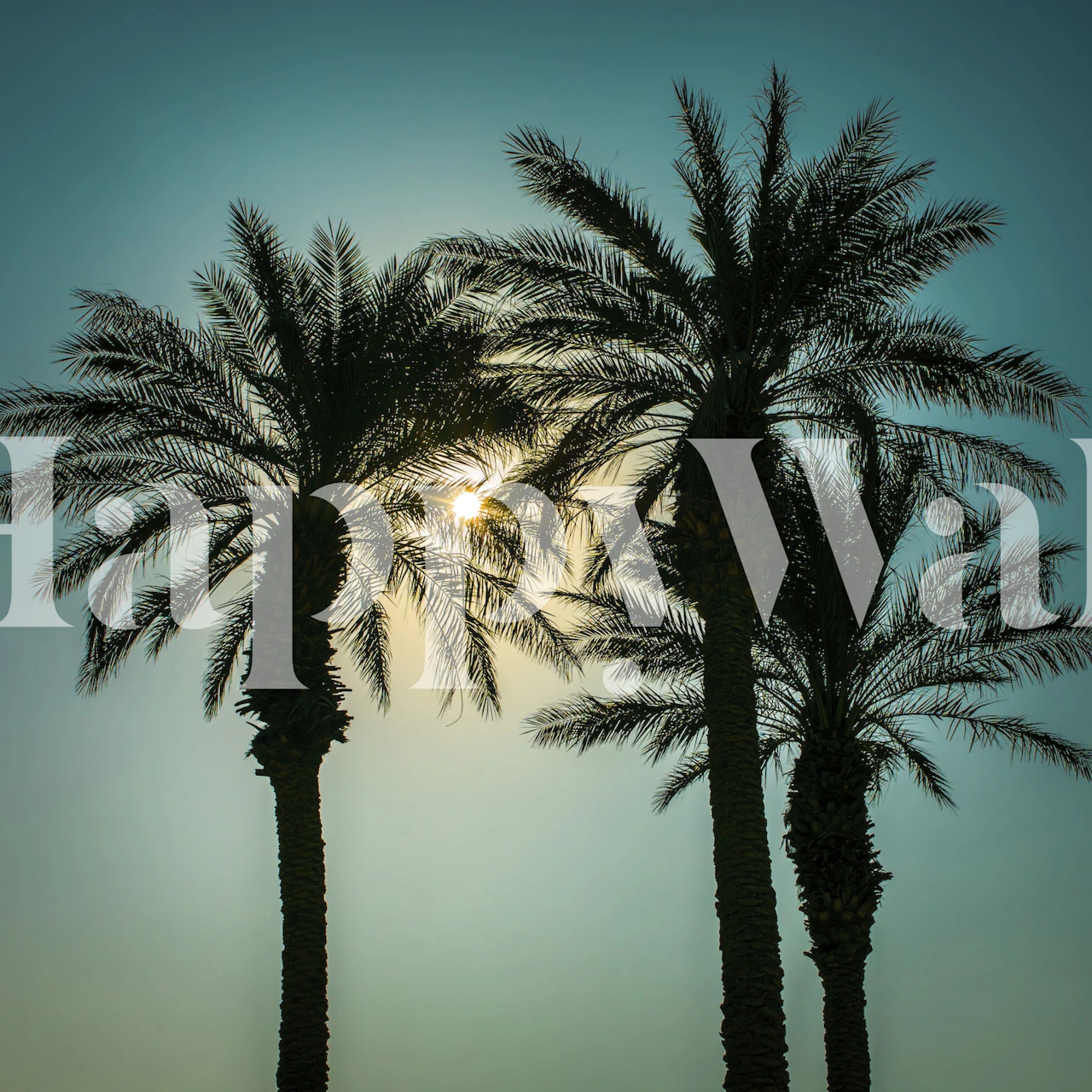 Silhouette of palm trees tapeta