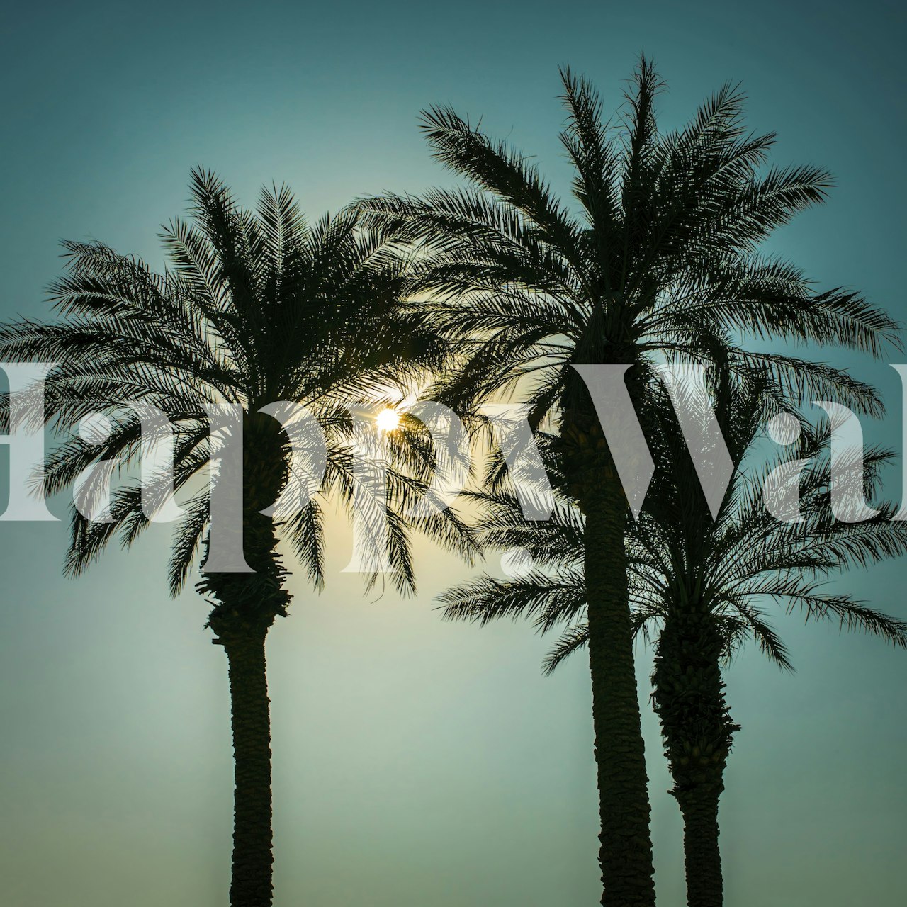Silhouette of palm trees wallpaper