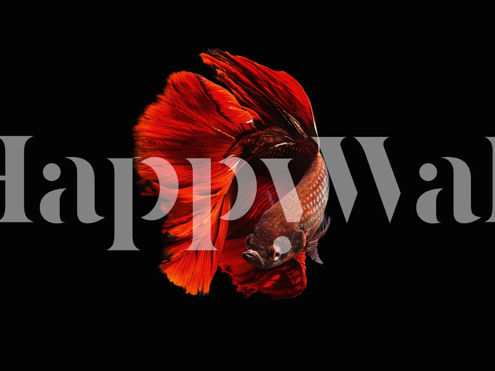 Vibrant red wallpaper in a room