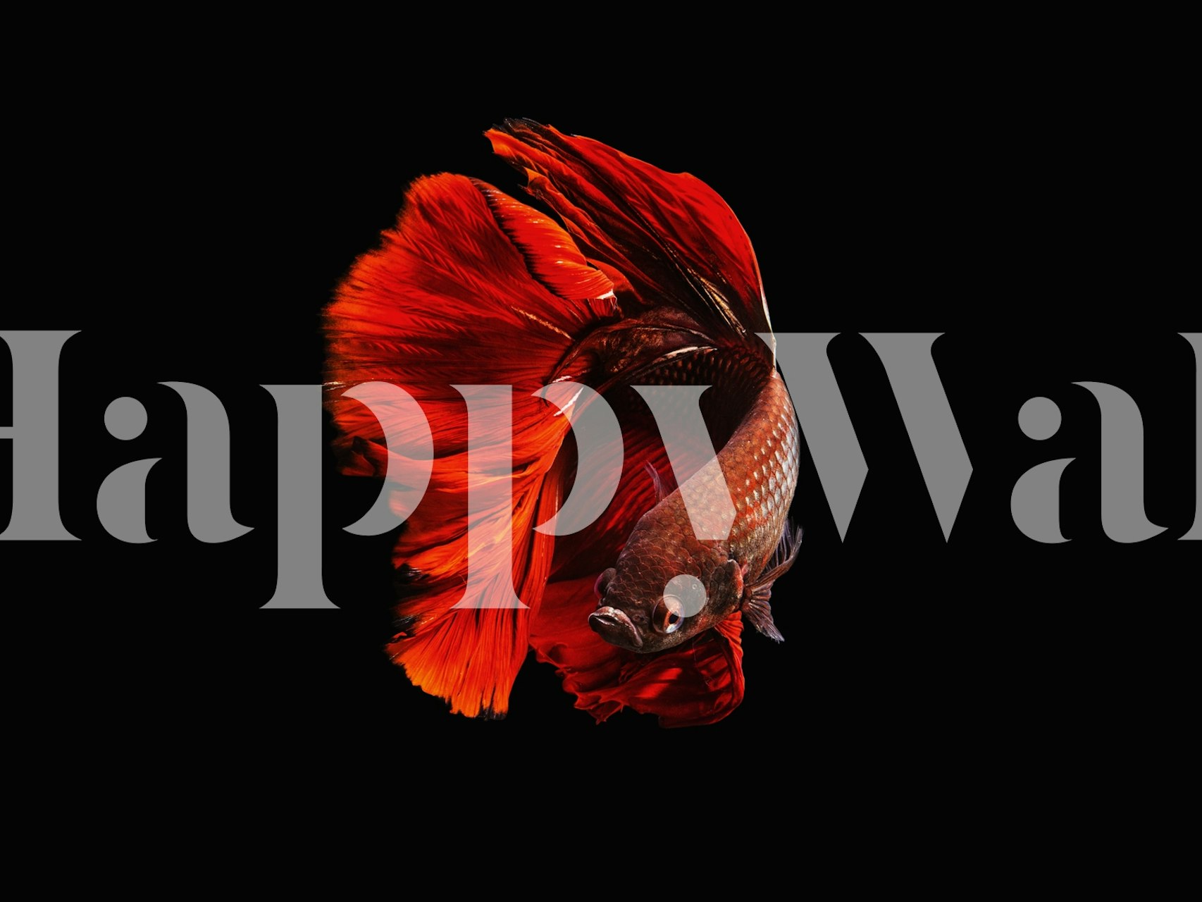 Vibrant red wallpaper in a room