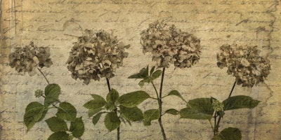 Mural