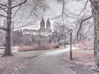 Walk through the Central Park papiers peint