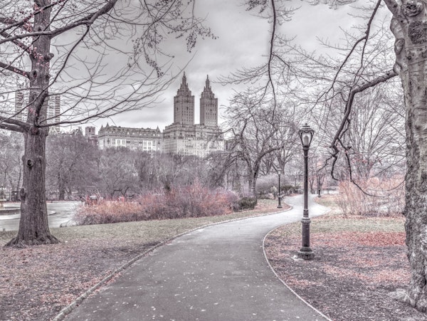 Walk through the Central Park