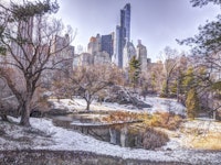Snowy Central Park wallpaper
