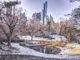 Snowy Central Park