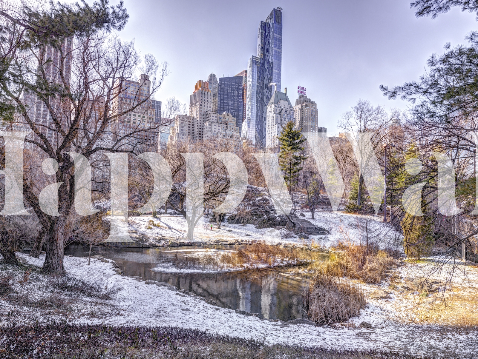 Snowy Central Park Wallpaper | Buy Online at Happy Wall