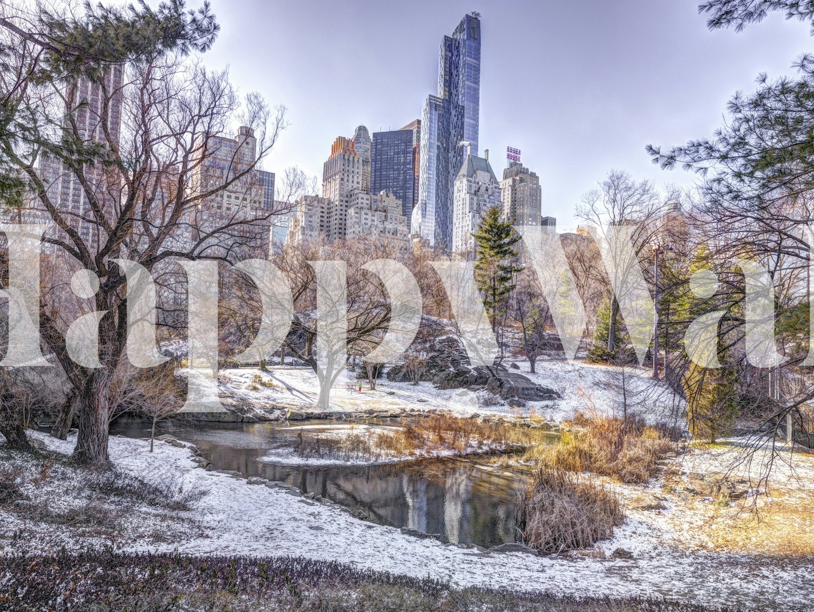 Snowy Central Park Wallpaper | Buy Online at Happy Wall
