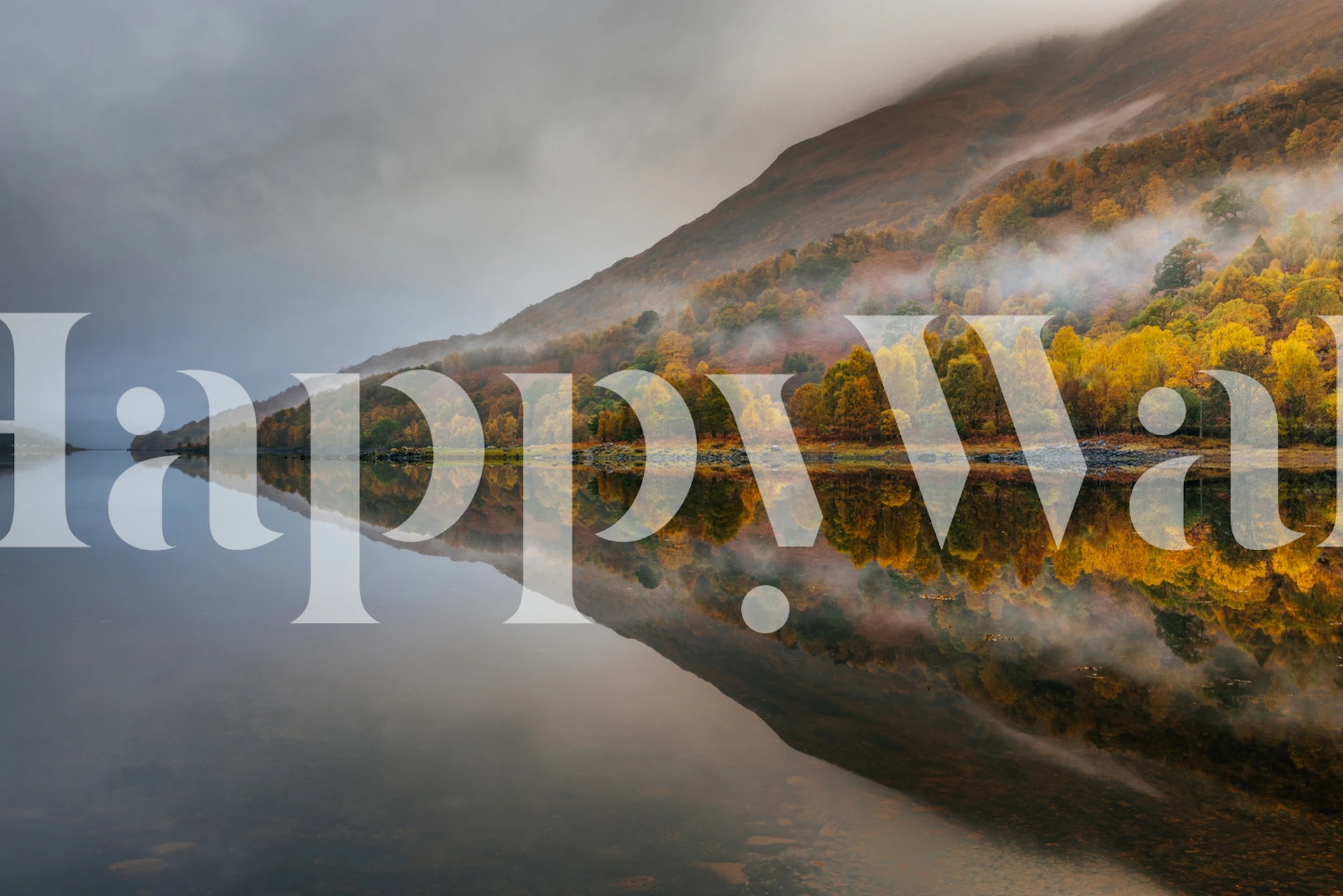 Misty loch with autumn trees wall mural
