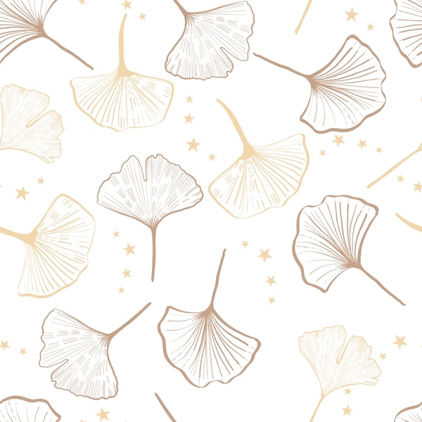 Gold ginkgo biloba with stars