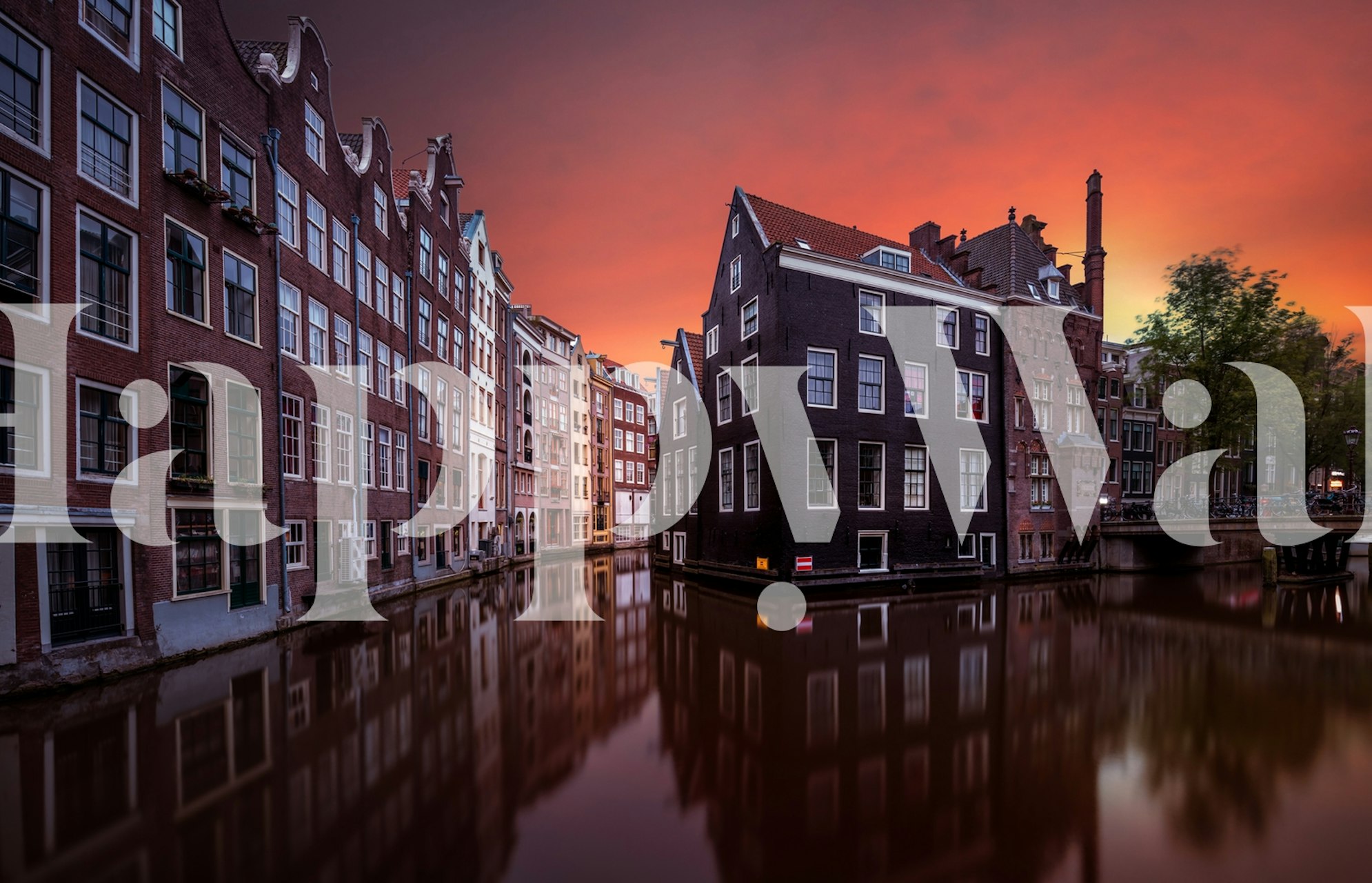 Amsterdam Dawn tapet i et stilfuldt rum