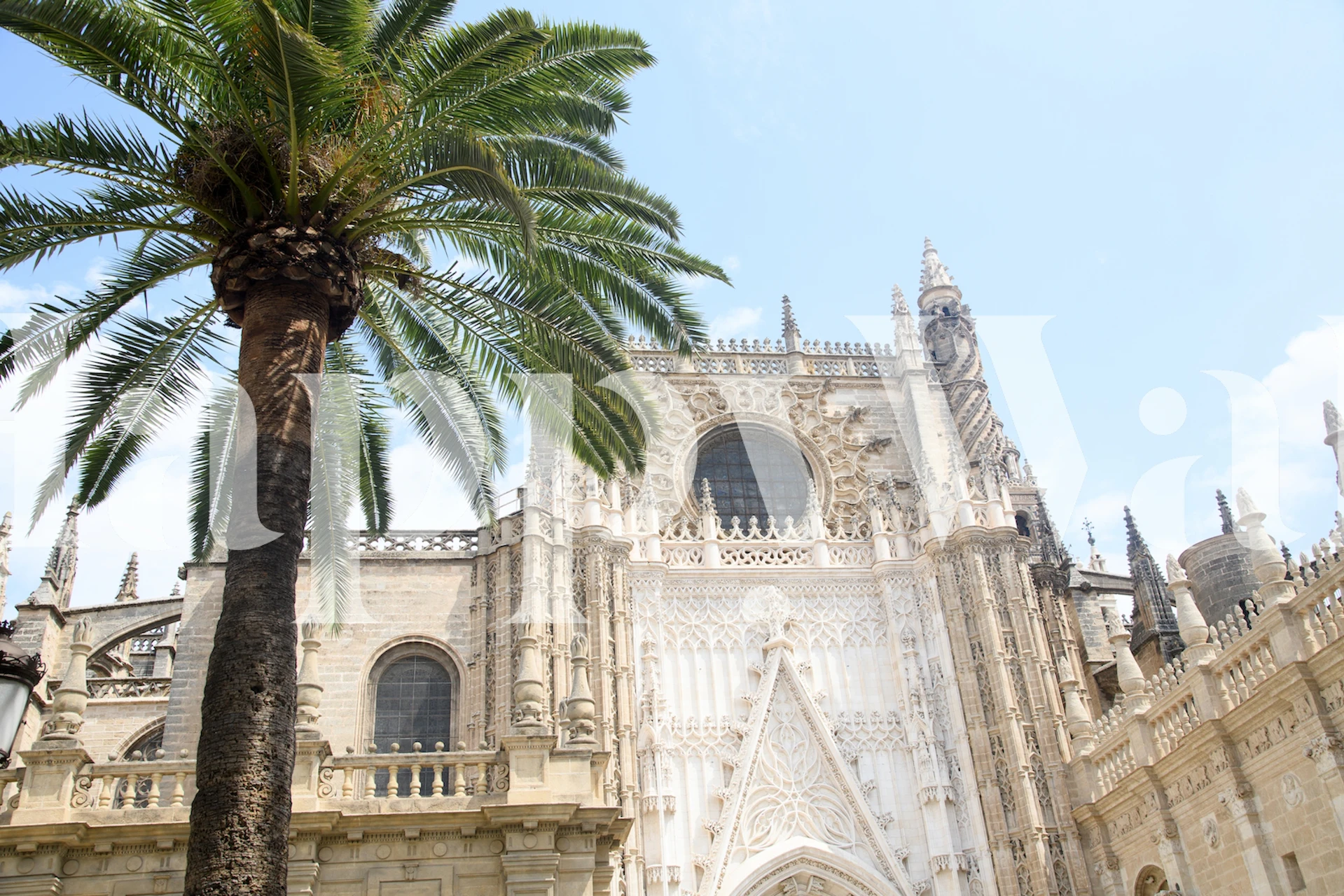 Seville Cathedral 2 Tapete in einem Raum