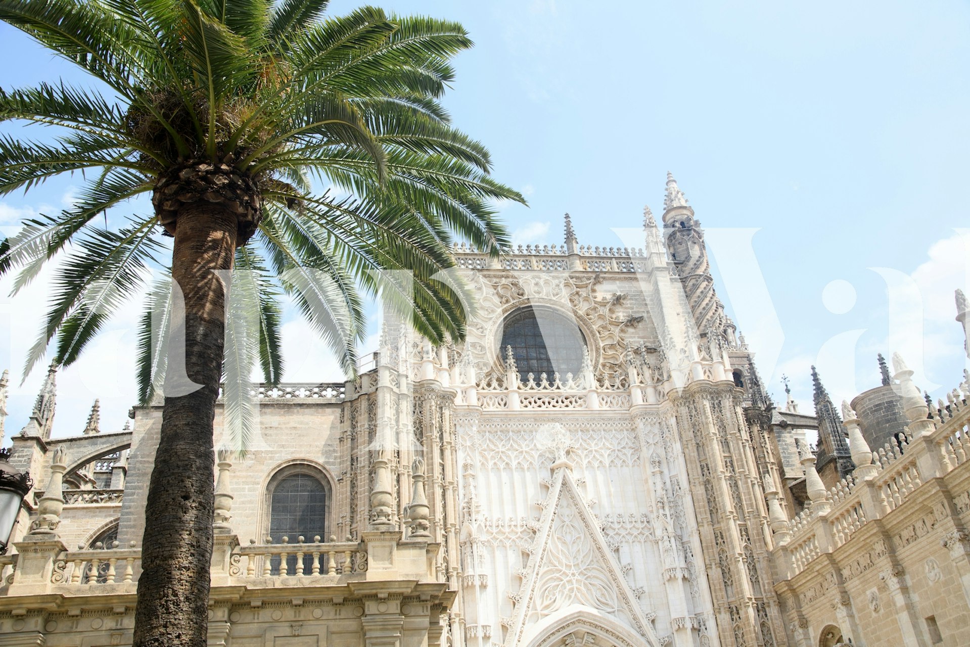 Seville Cathedral 2 wallpaper in a room
