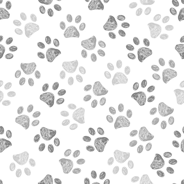 Gray Paw Prints Sketch